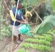 Empowering Families Through Livelihoods